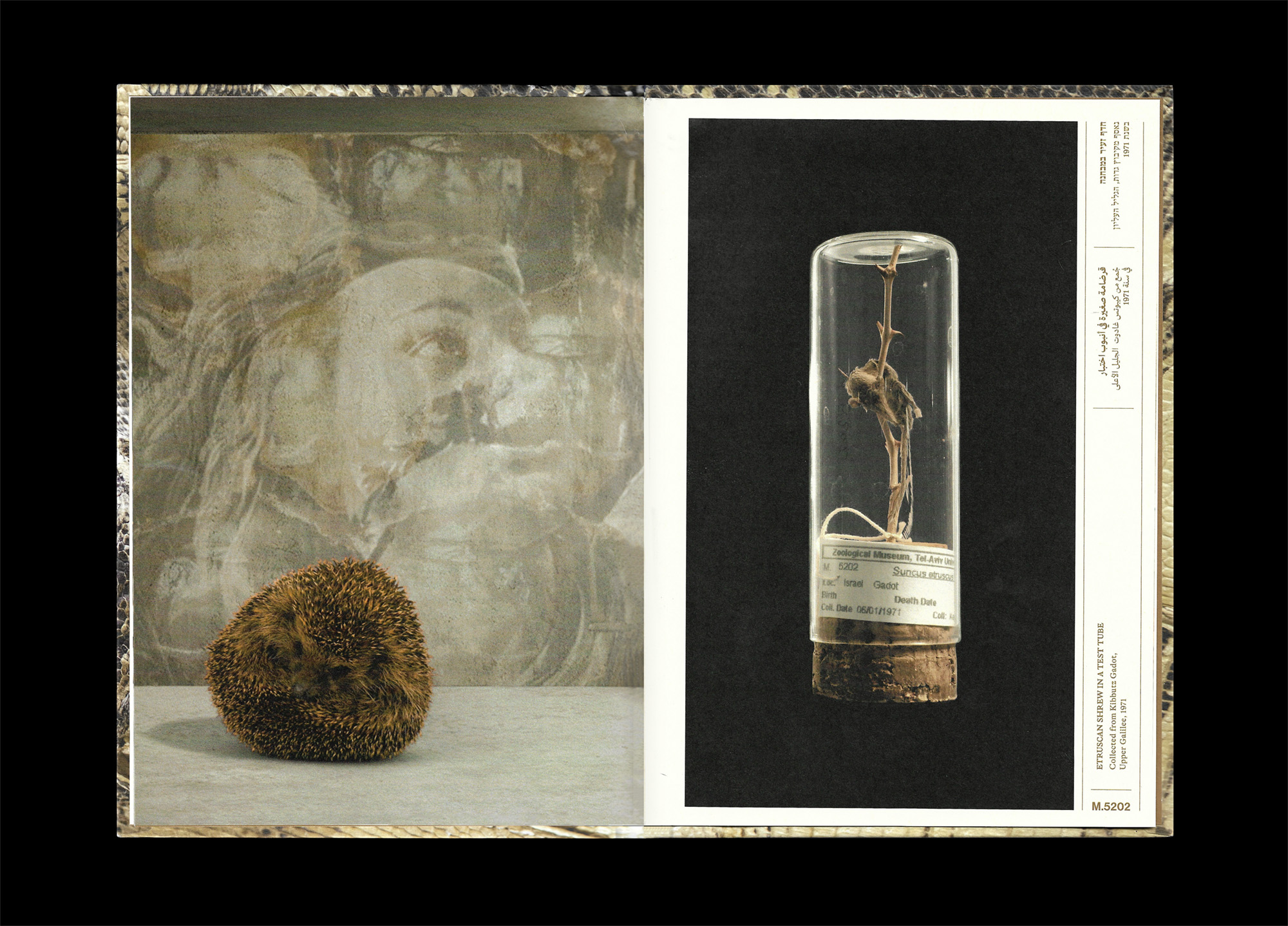 Image 1-3