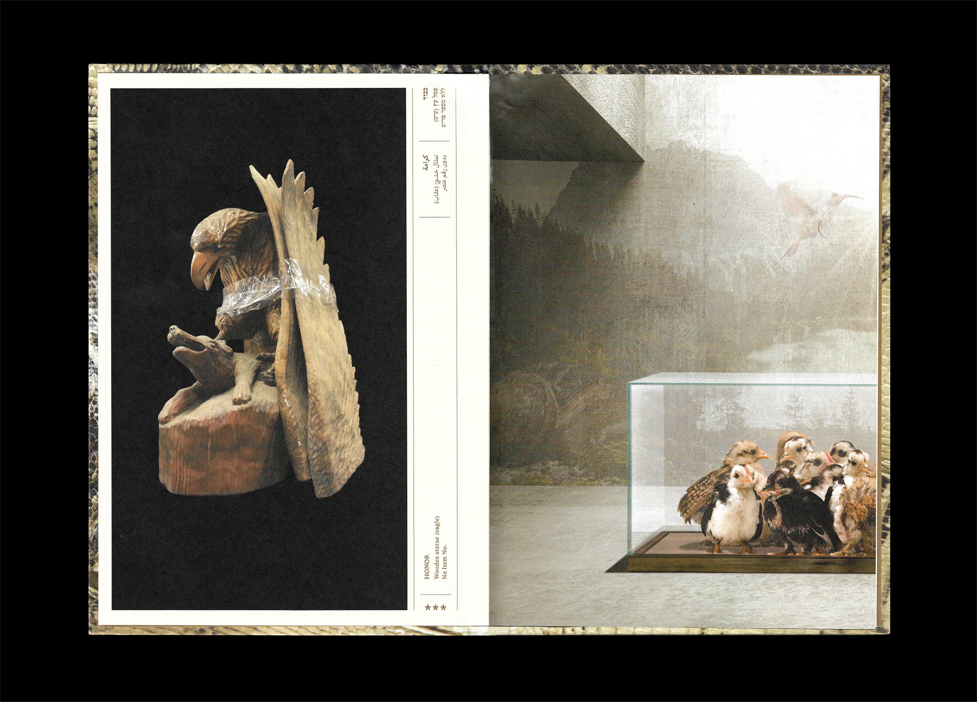 Image 1-7